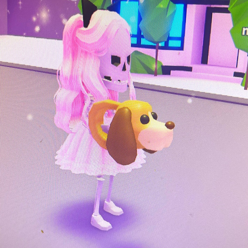 Meet your Posher, Winniethecj